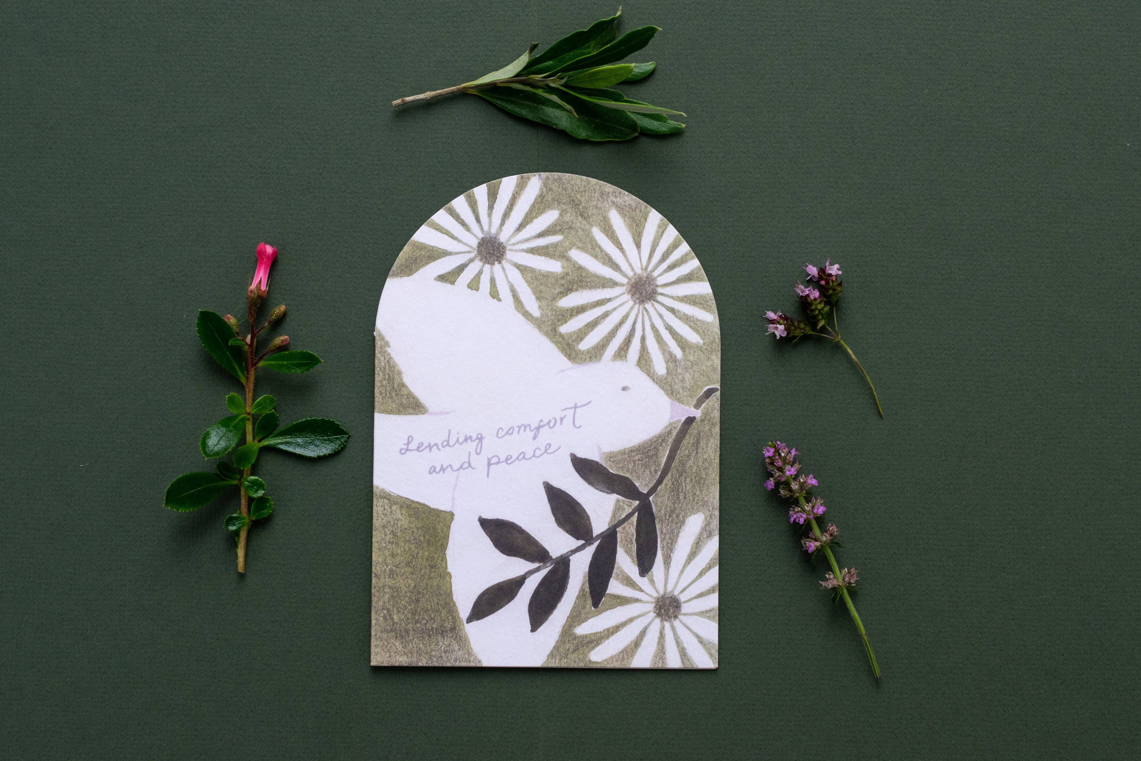 Comfort & Peace White Dove Sympathy Greeting Card