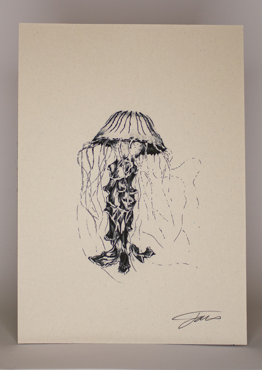Compass Jellyfish Wildlife Art Print