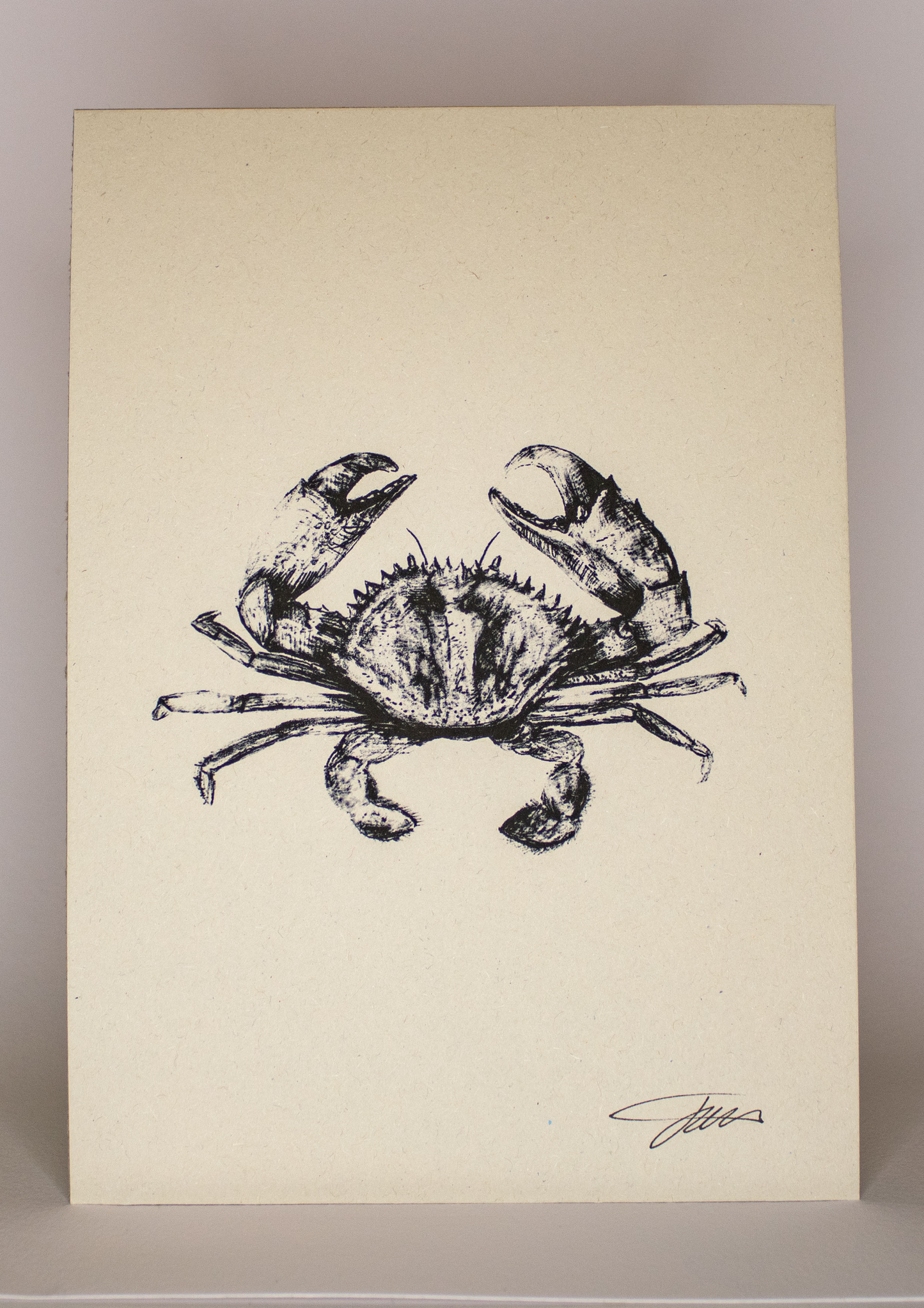 Crab Art Print