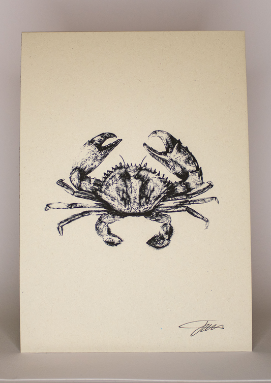 Crab Wildlife Art Print