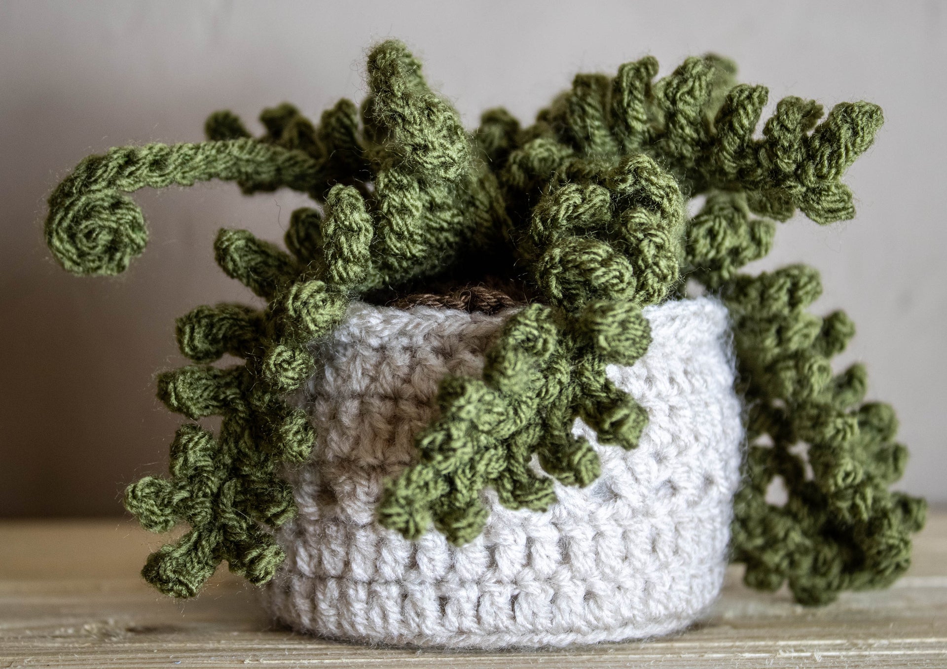 Crochet House Plants – Leocadia