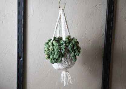 Crochet Houseplant - Hanging String Of Pearls