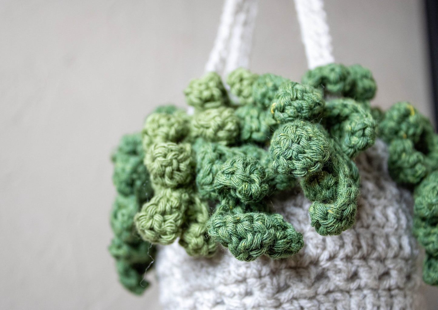Crochet Houseplant - Hanging String Of Pearls