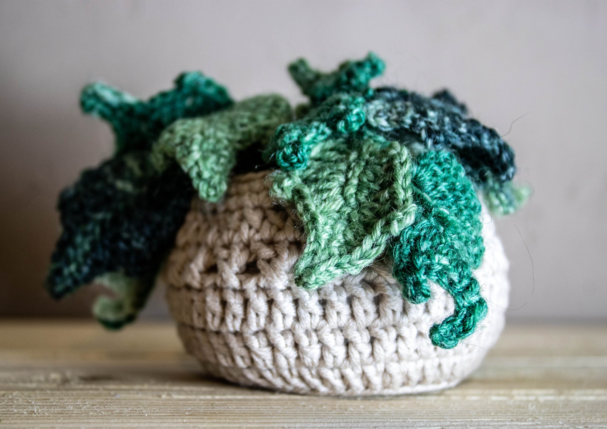 Crochet Houseplant - Ivy