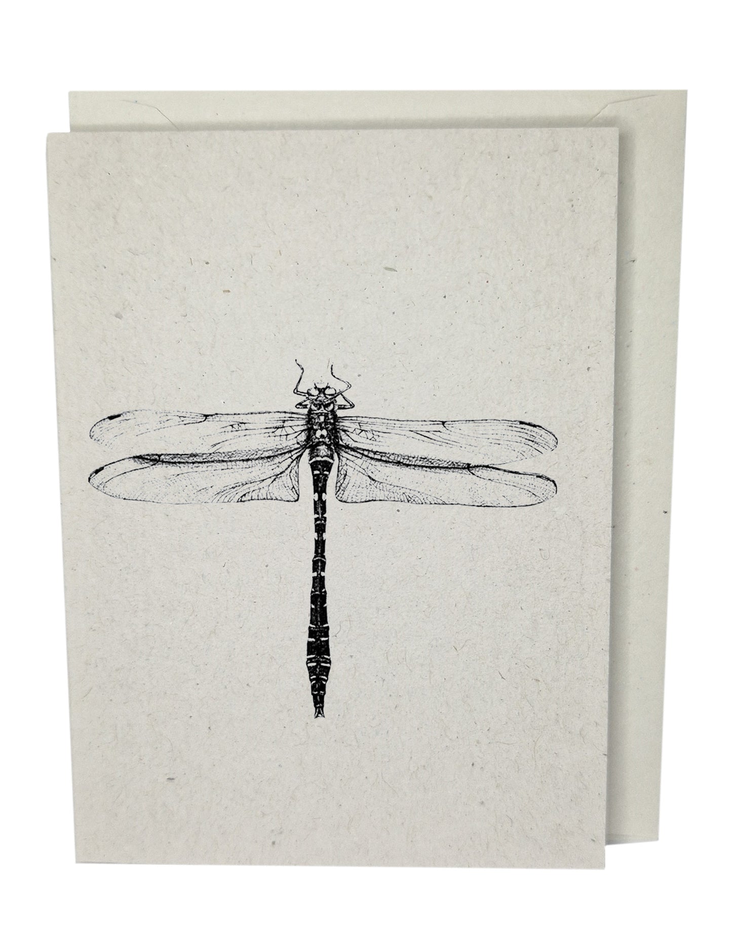 Dragonfly Greeting Card