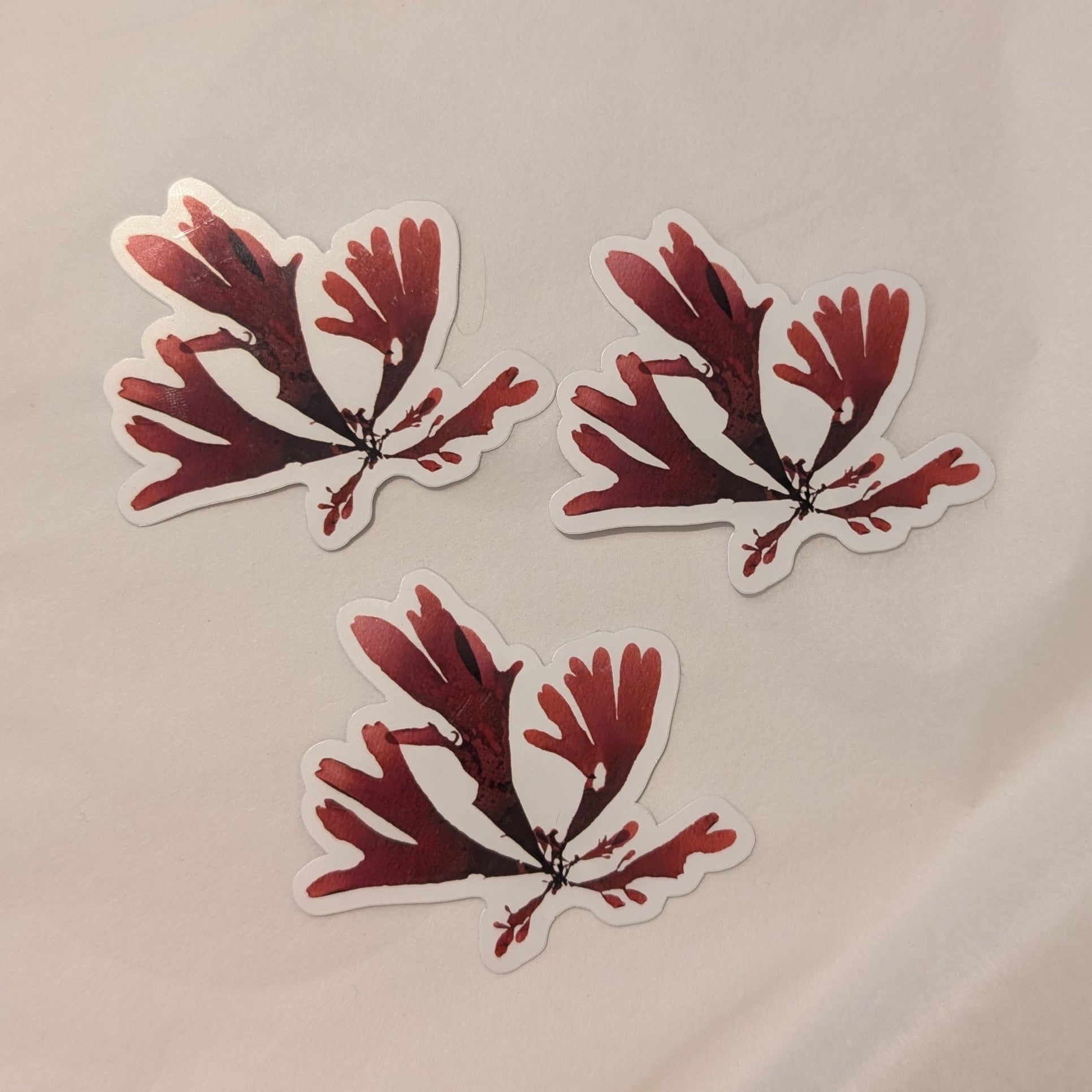 3 Dulse Red Seaweed Stickers 