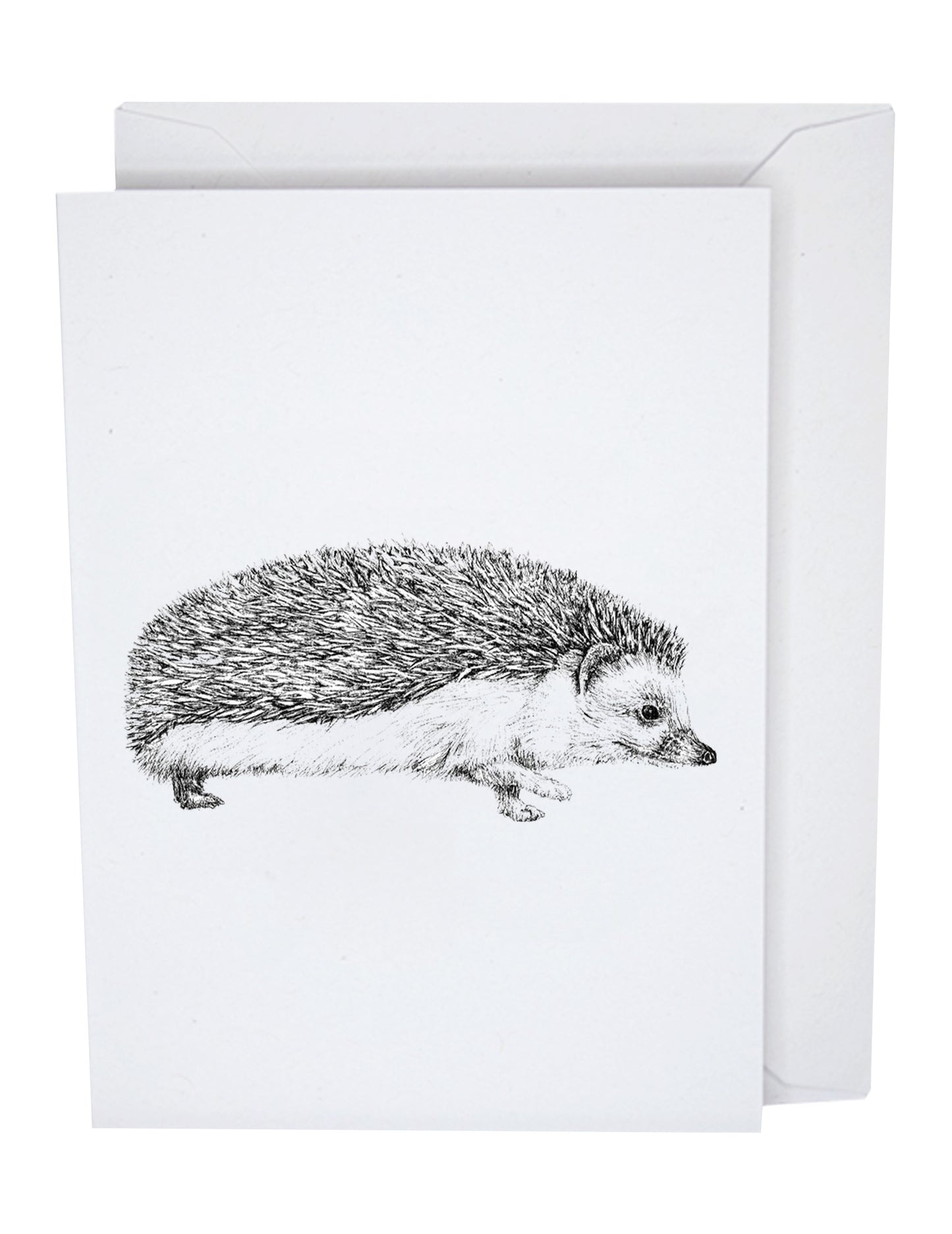 Hedgehog Recycled Paper Blank Greeting Card