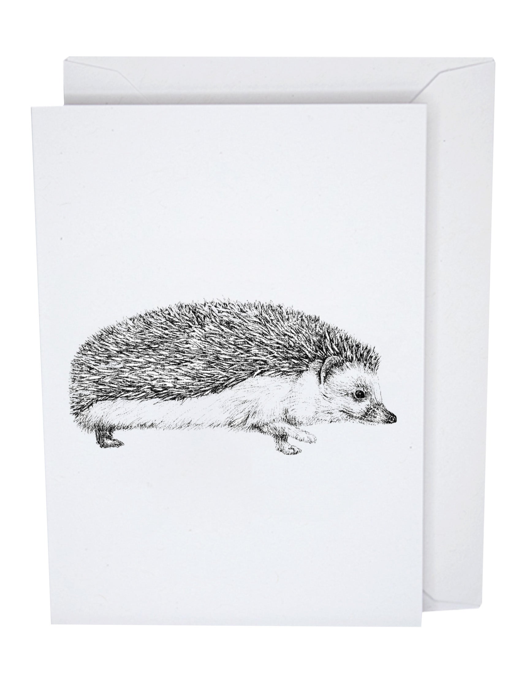 Hedgehog Recycled Paper Blank Greeting Card