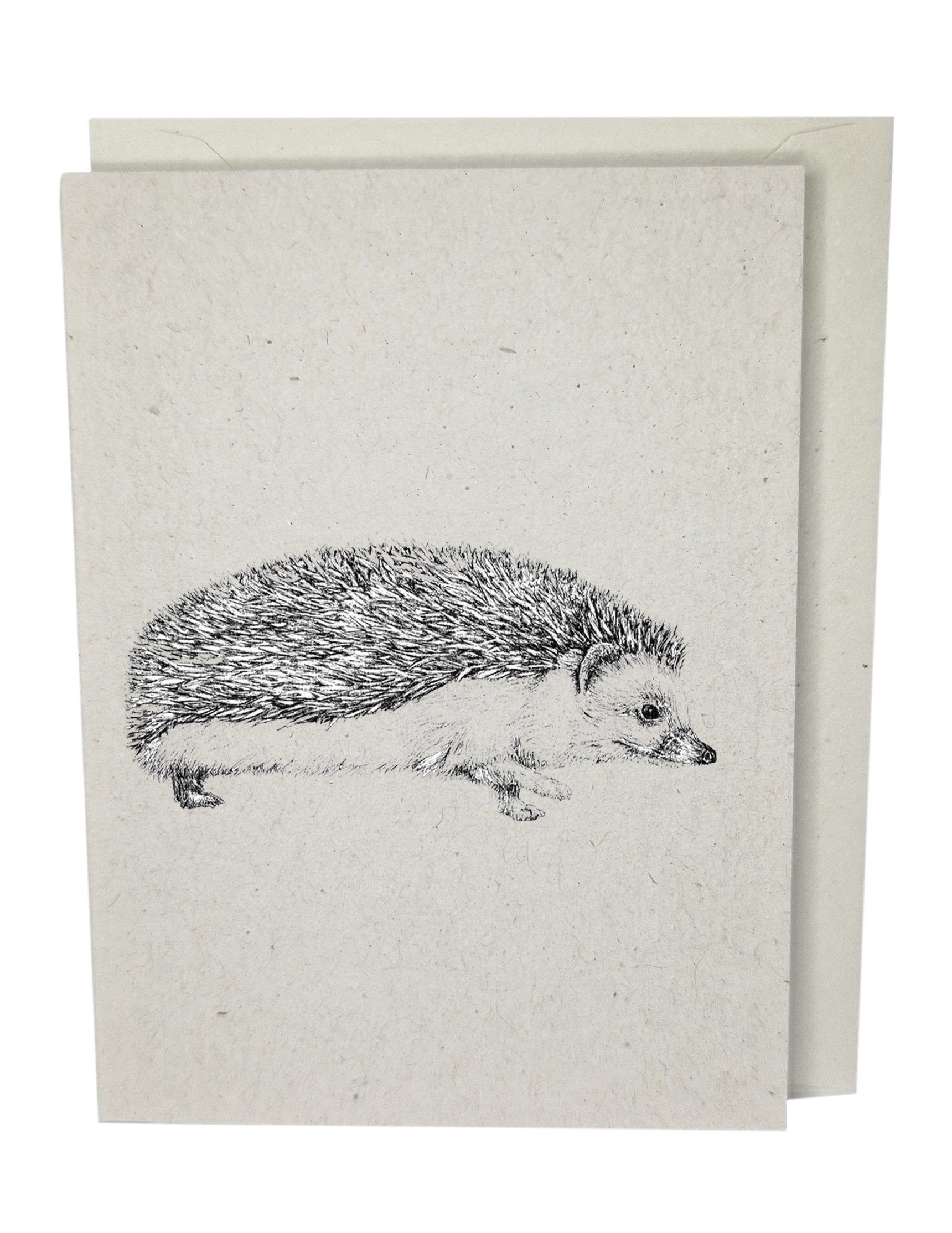 Hedgehog Recycled Paper Brown Blank Greeting Card