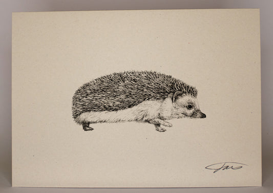 Hedgehog Wildlife Art Print