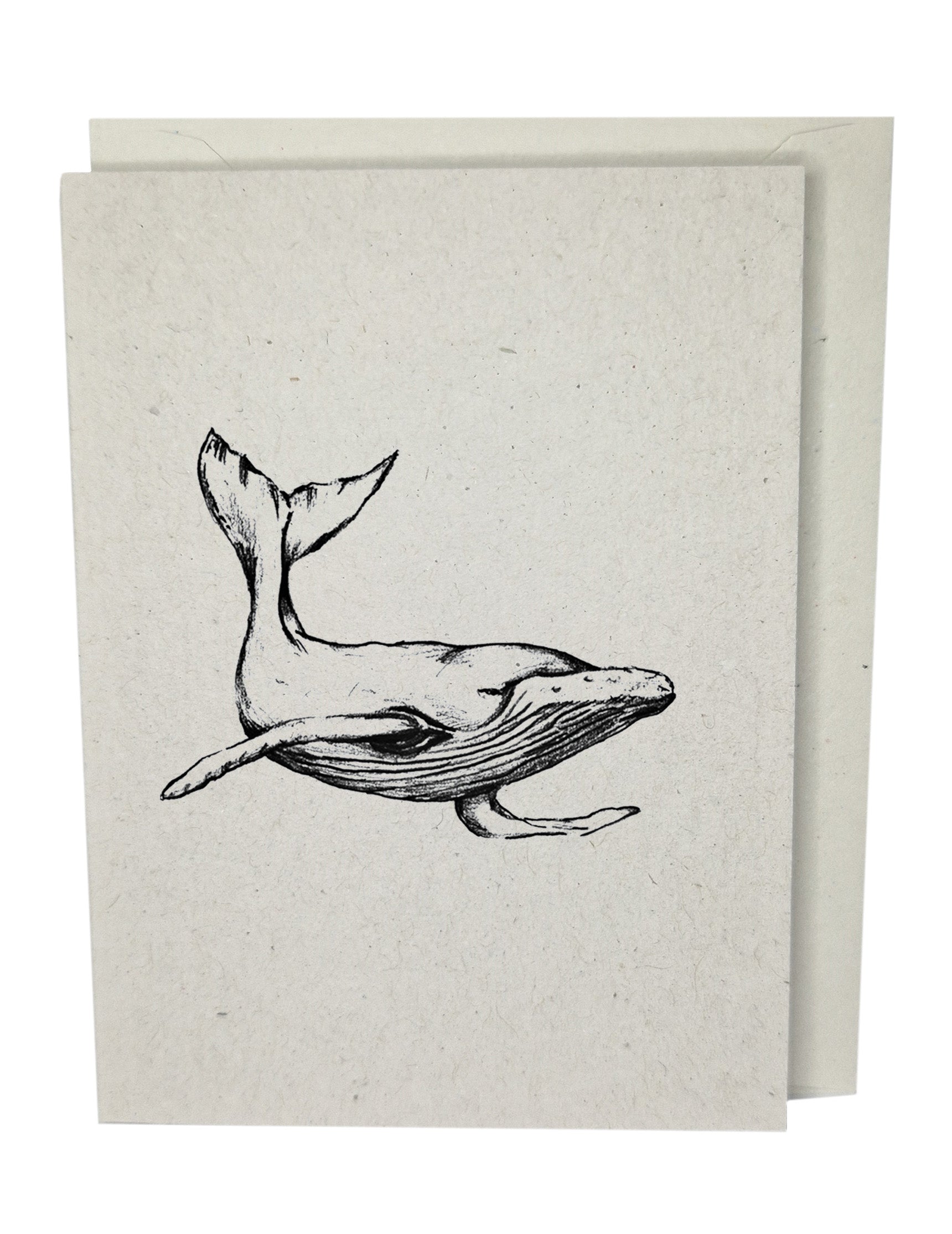 Humpback Whale  Recycled Paper Brown Blank Greeting Card