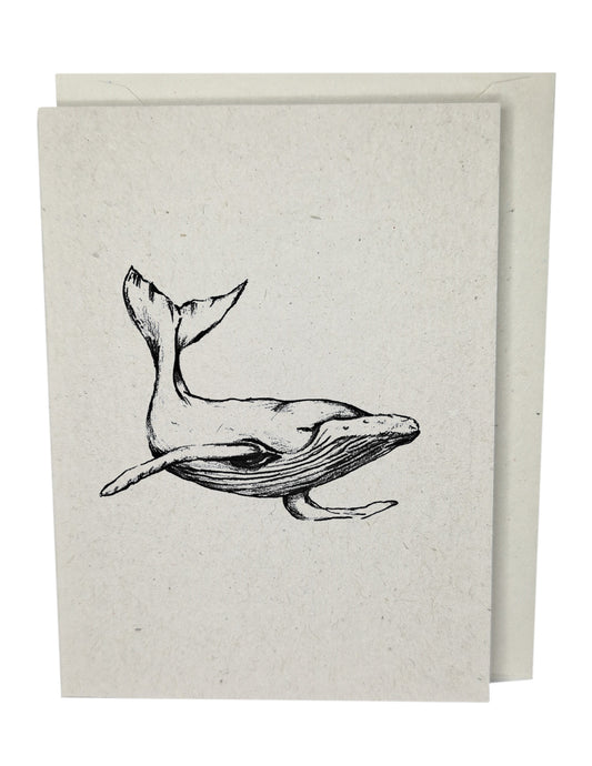 Humpback Whale  Recycled Paper Brown Blank Greeting Card