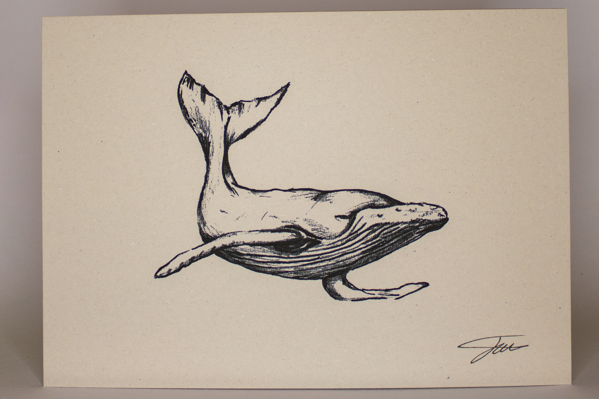 Humpback Whale Wildlife Art Print
