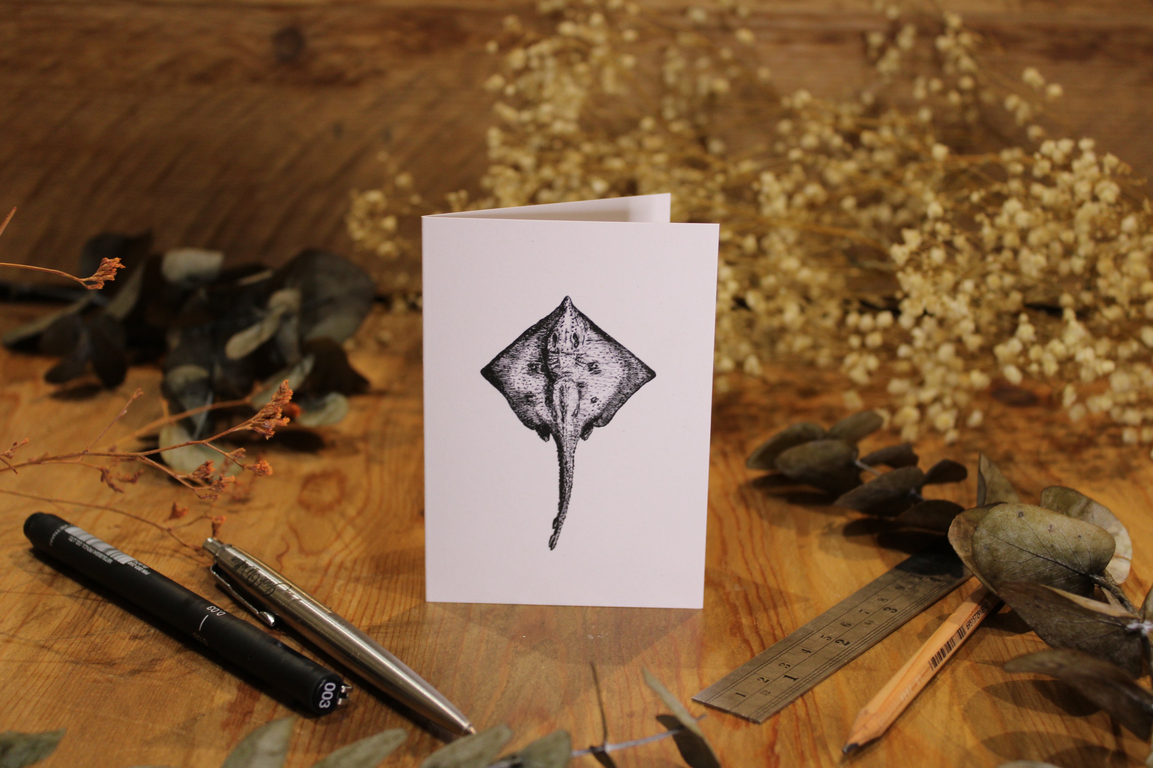 Ray Greeting Card