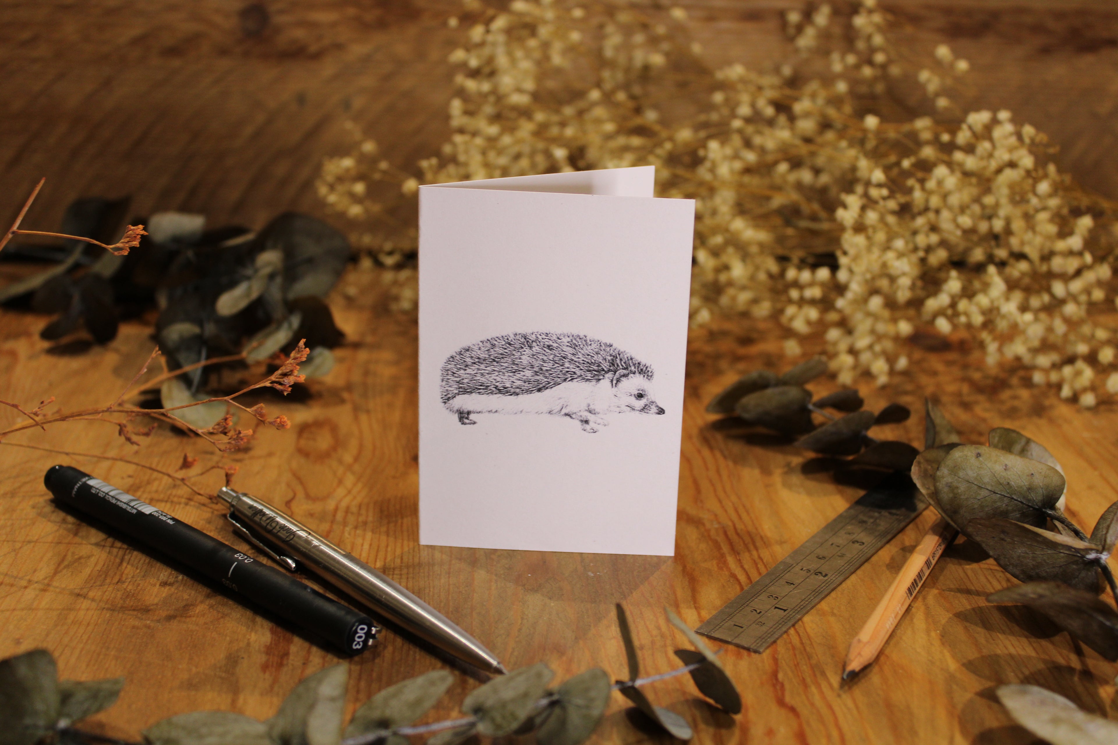 Hedgehog Greeting Card