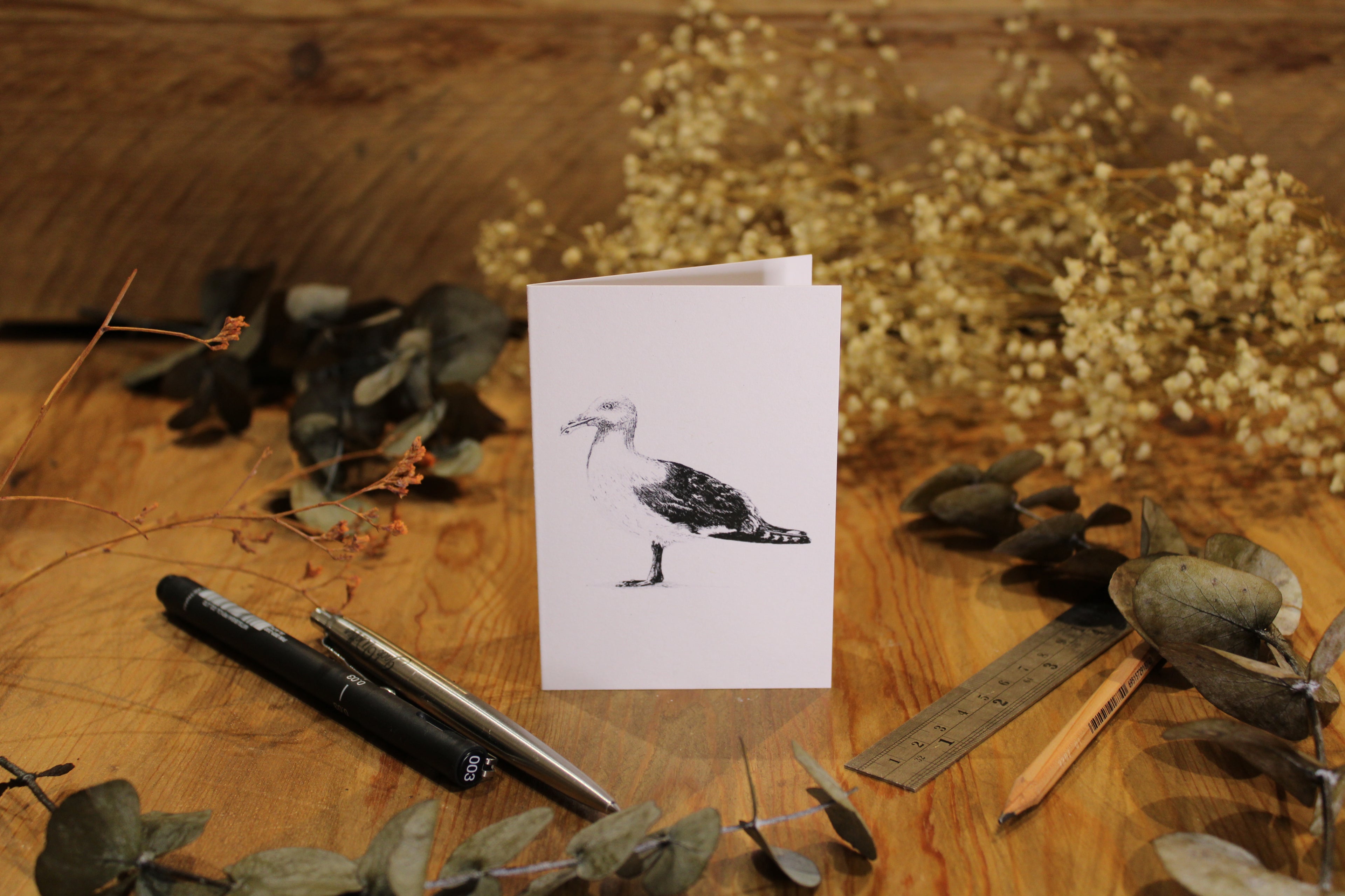 Seagull Greeting Card