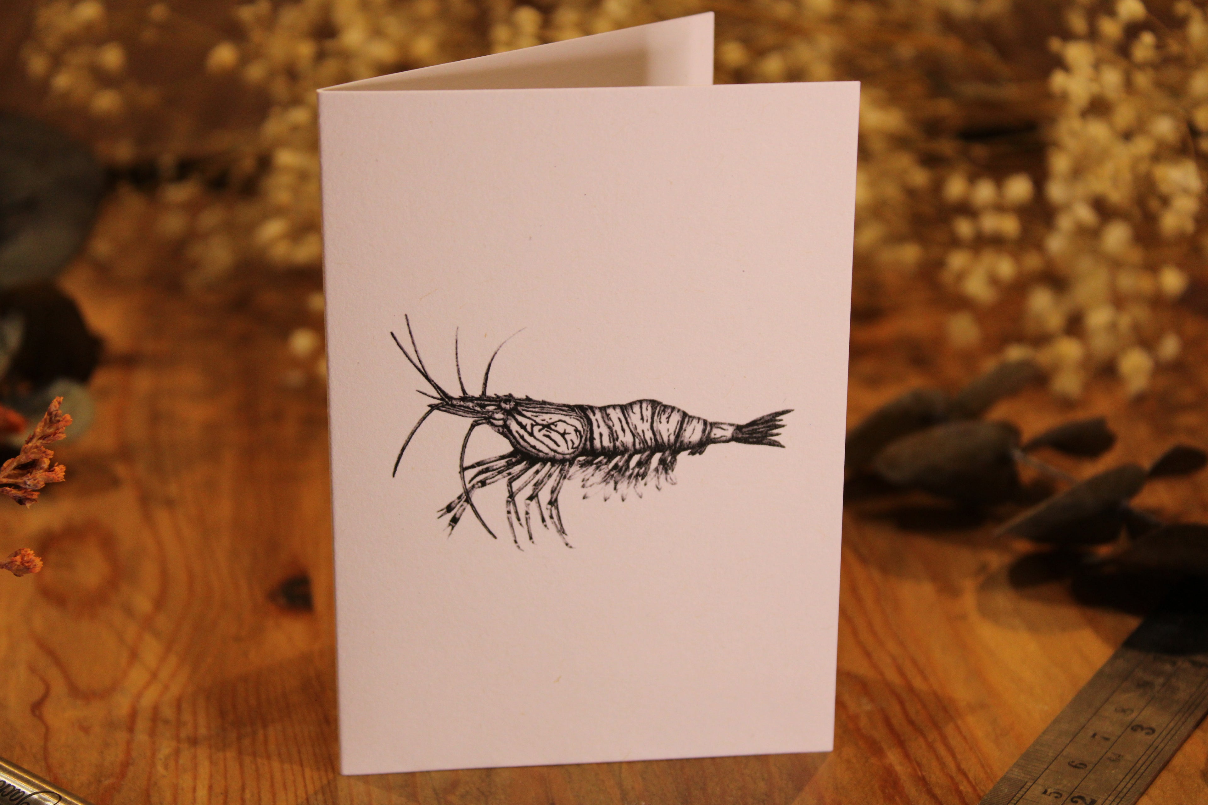 Shrimp Greeting Card