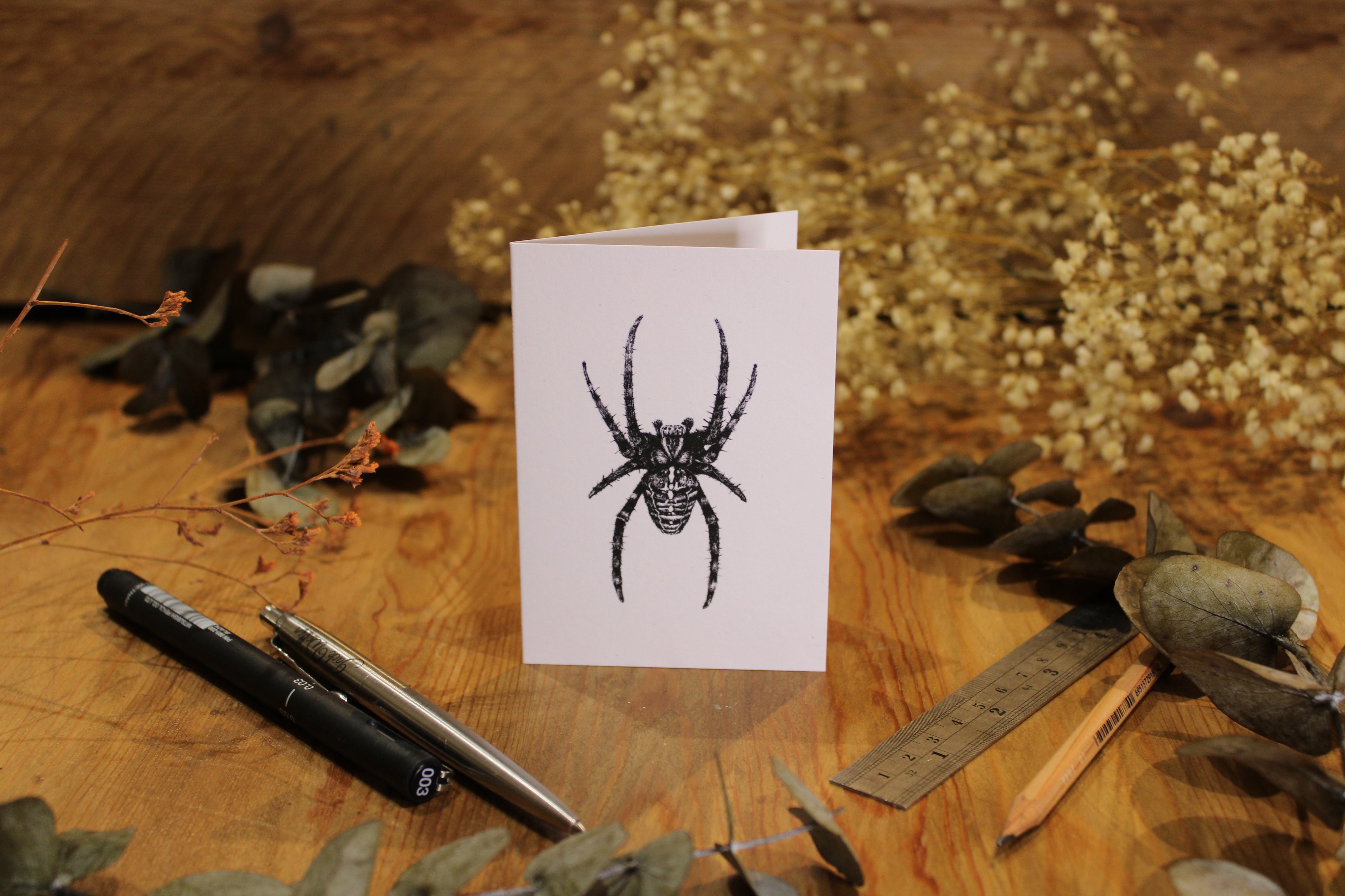 Spider Greeting Card