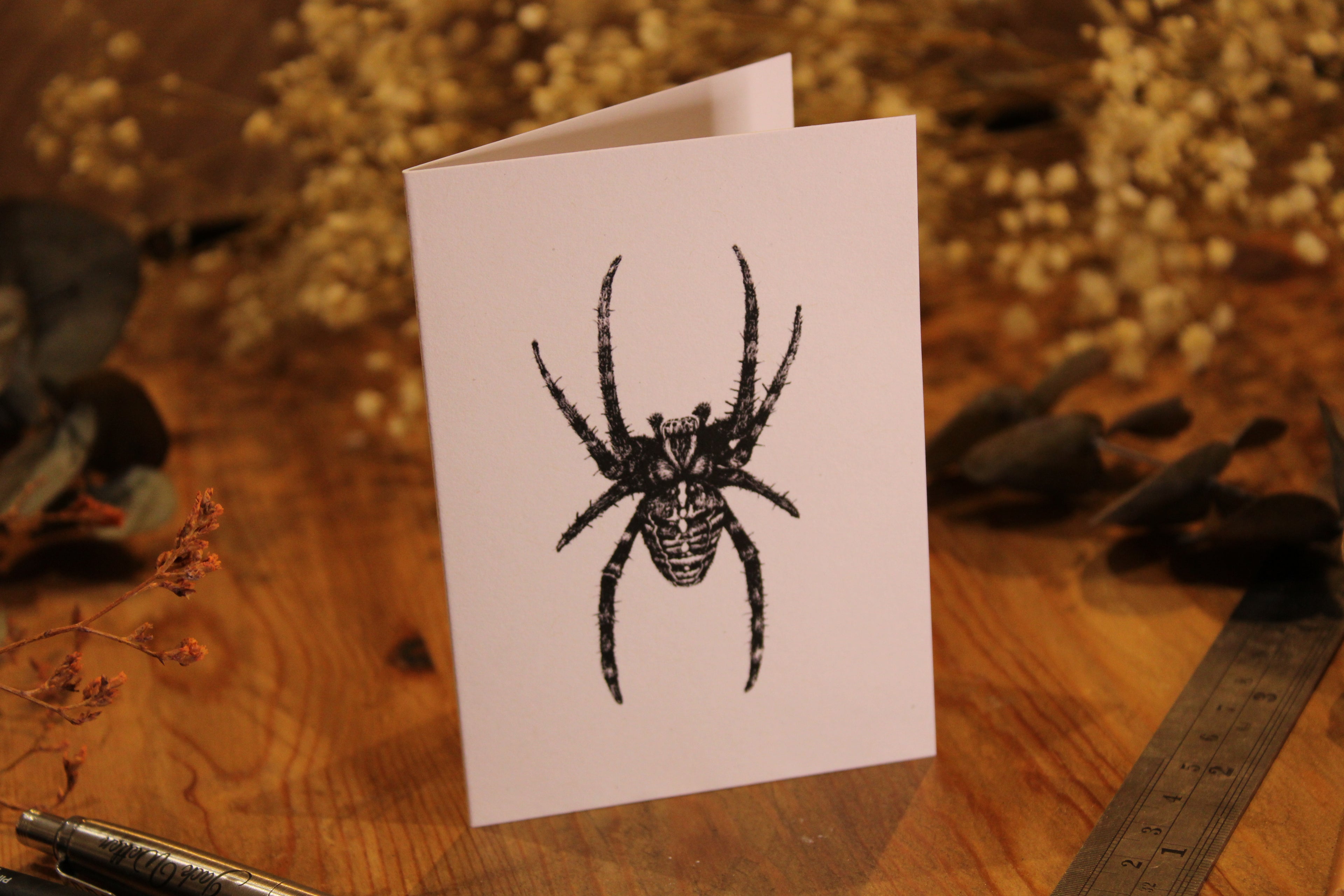 Spider Greeting Card