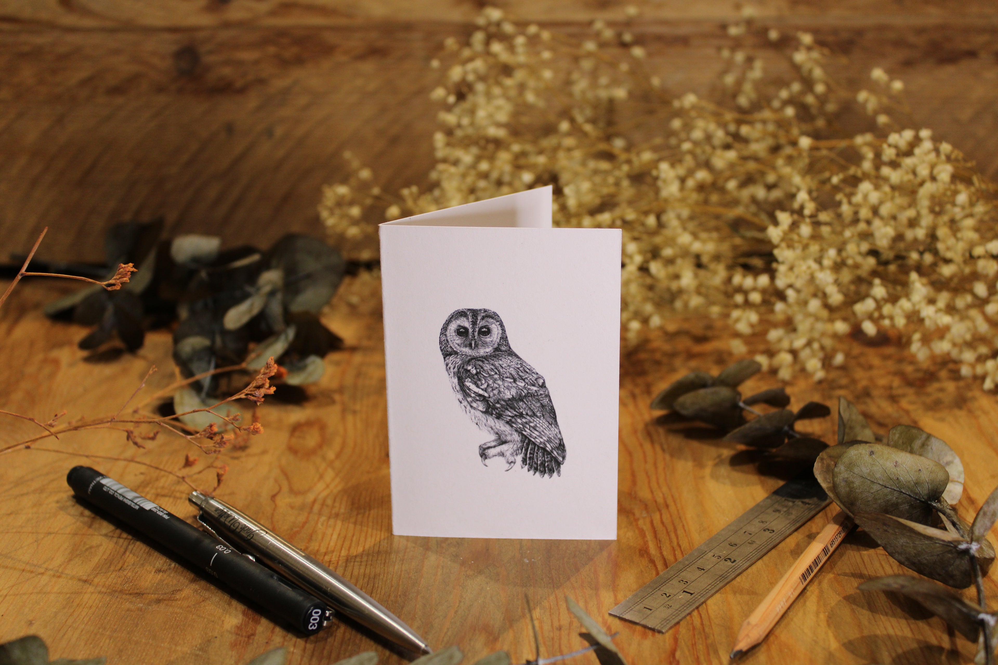 Owl Greeting Card