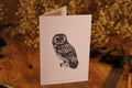 Owl Greeting Card