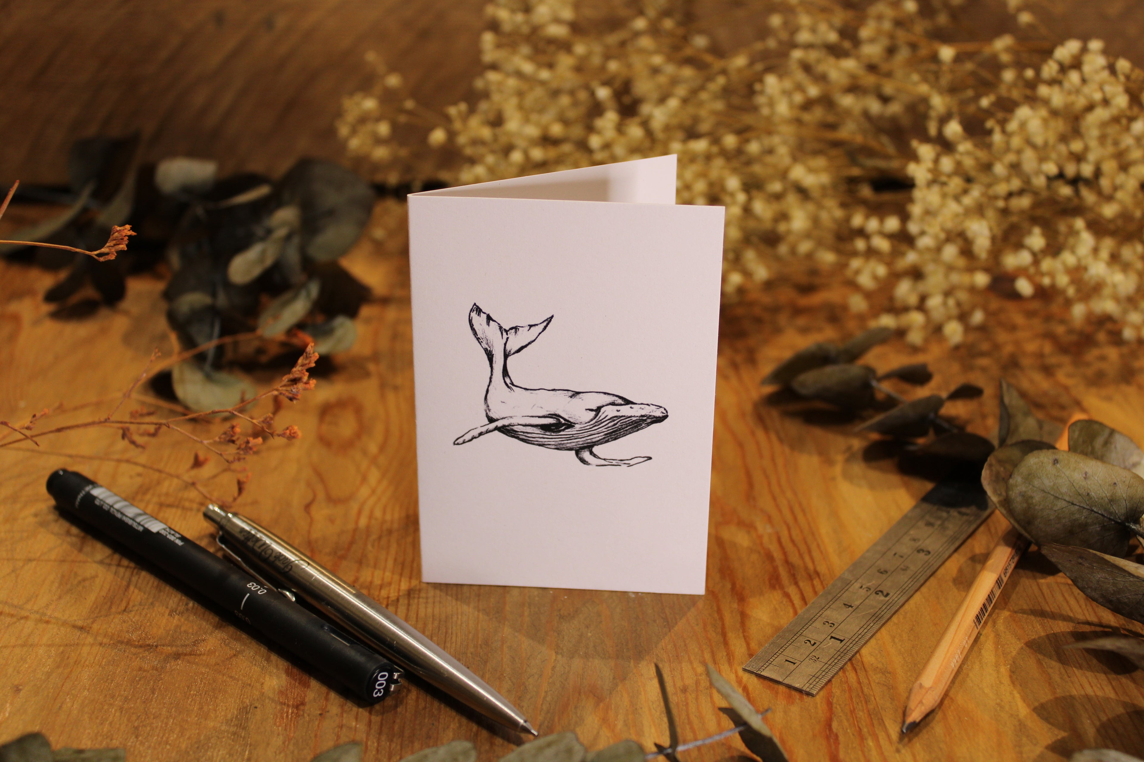 Whale Greeting Card