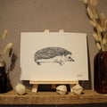Hedgehog Art Print