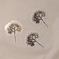 3 Irish Moss seaweed stickers