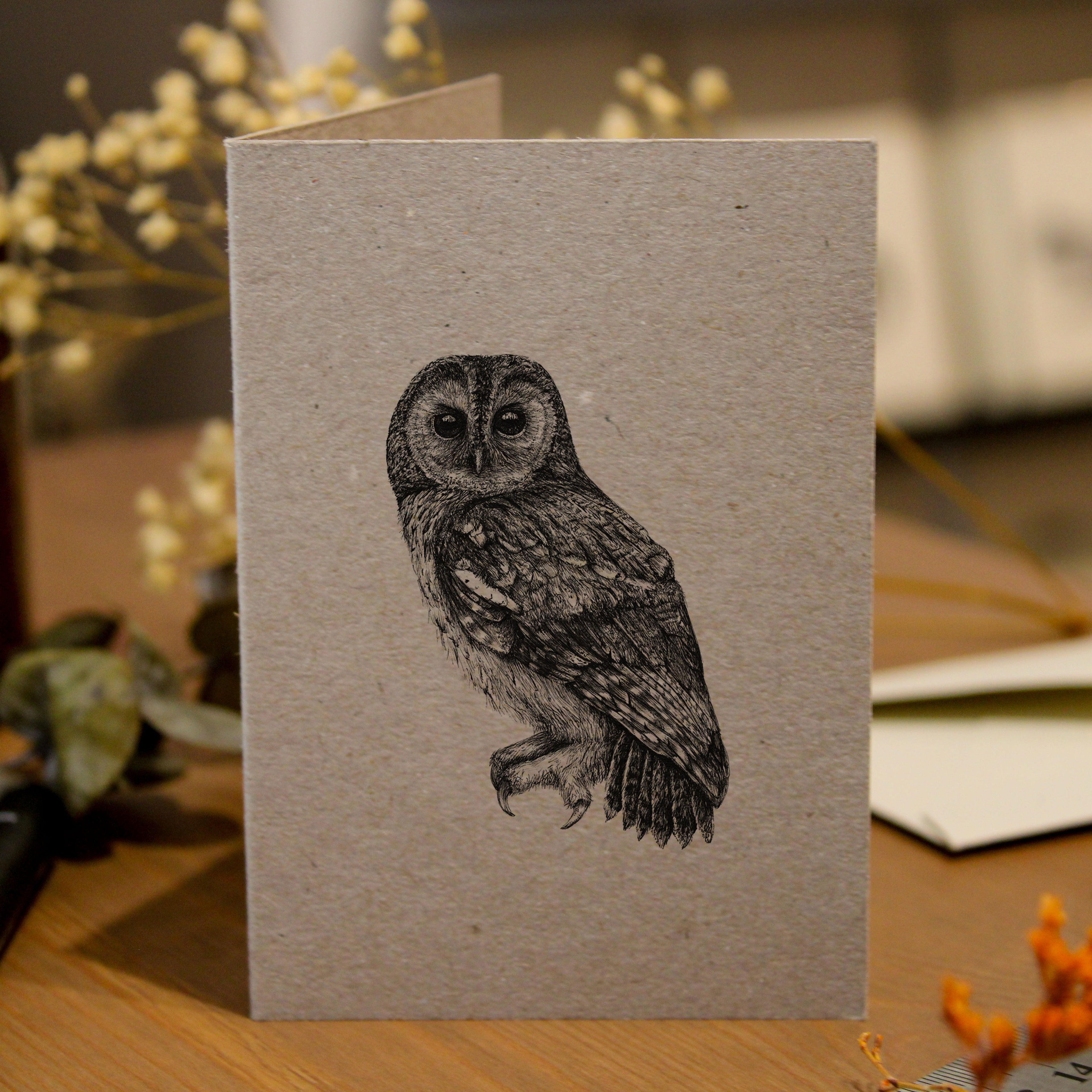 Owl Greeting Card