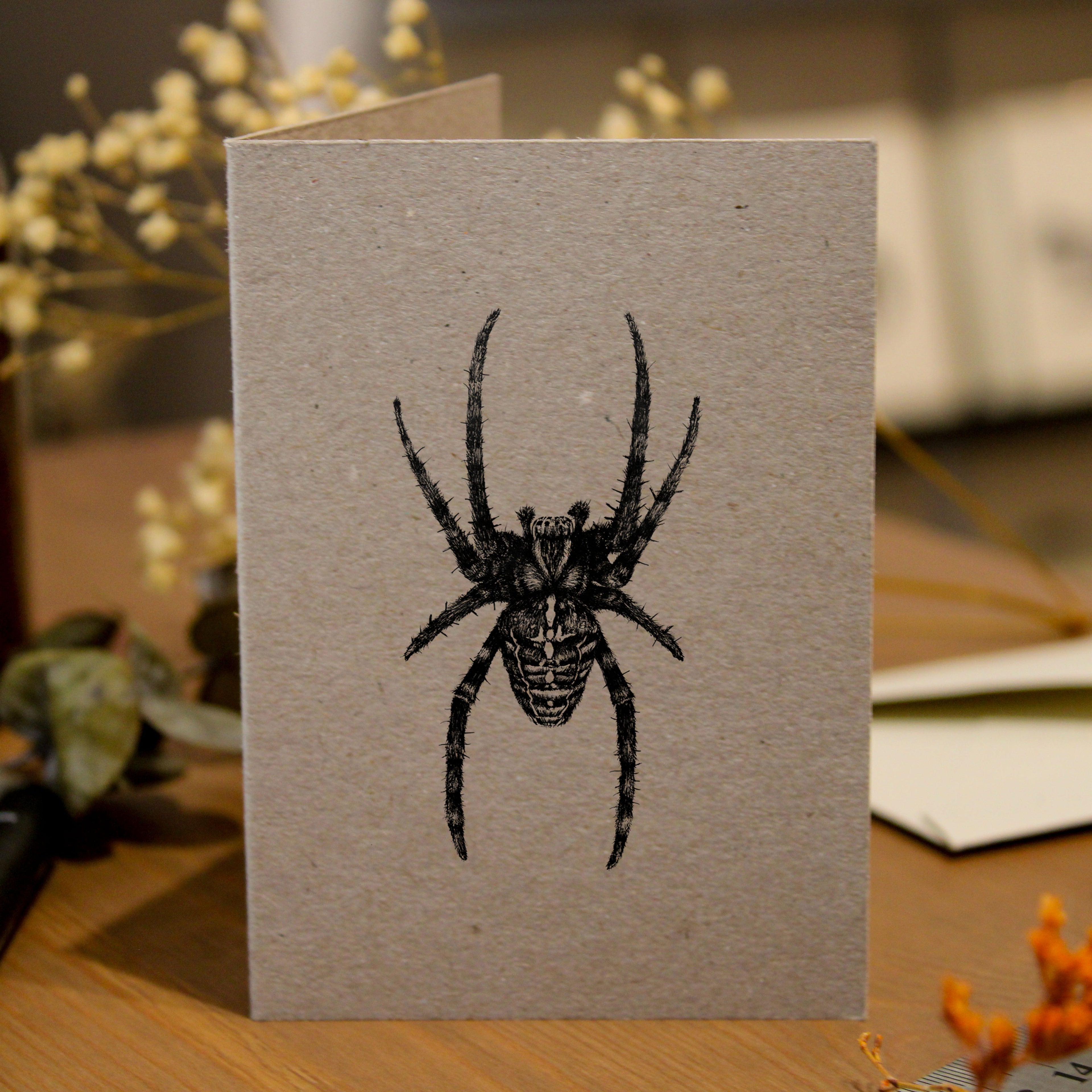 Spider Greeting Card
