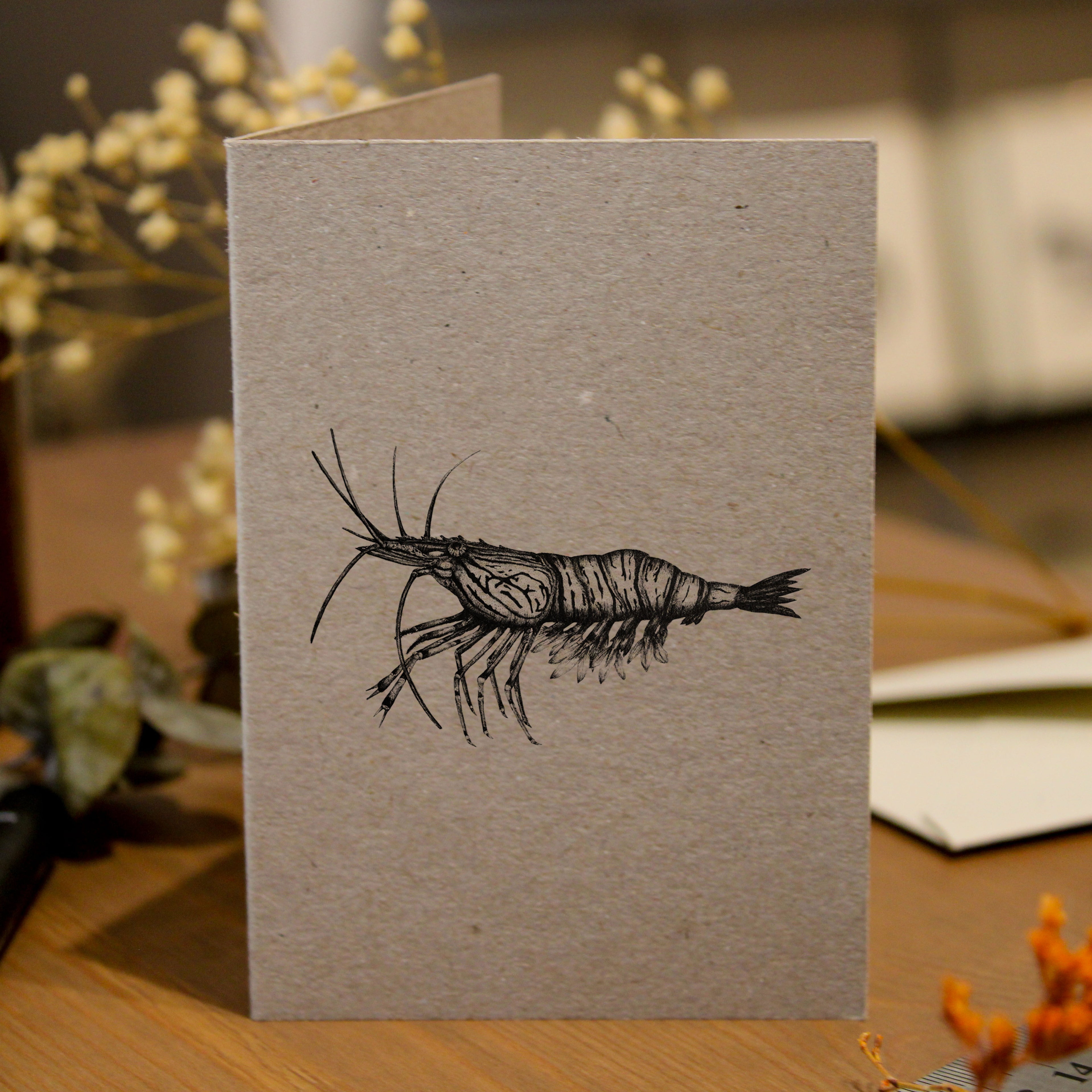 Shrimp Greeting Card
