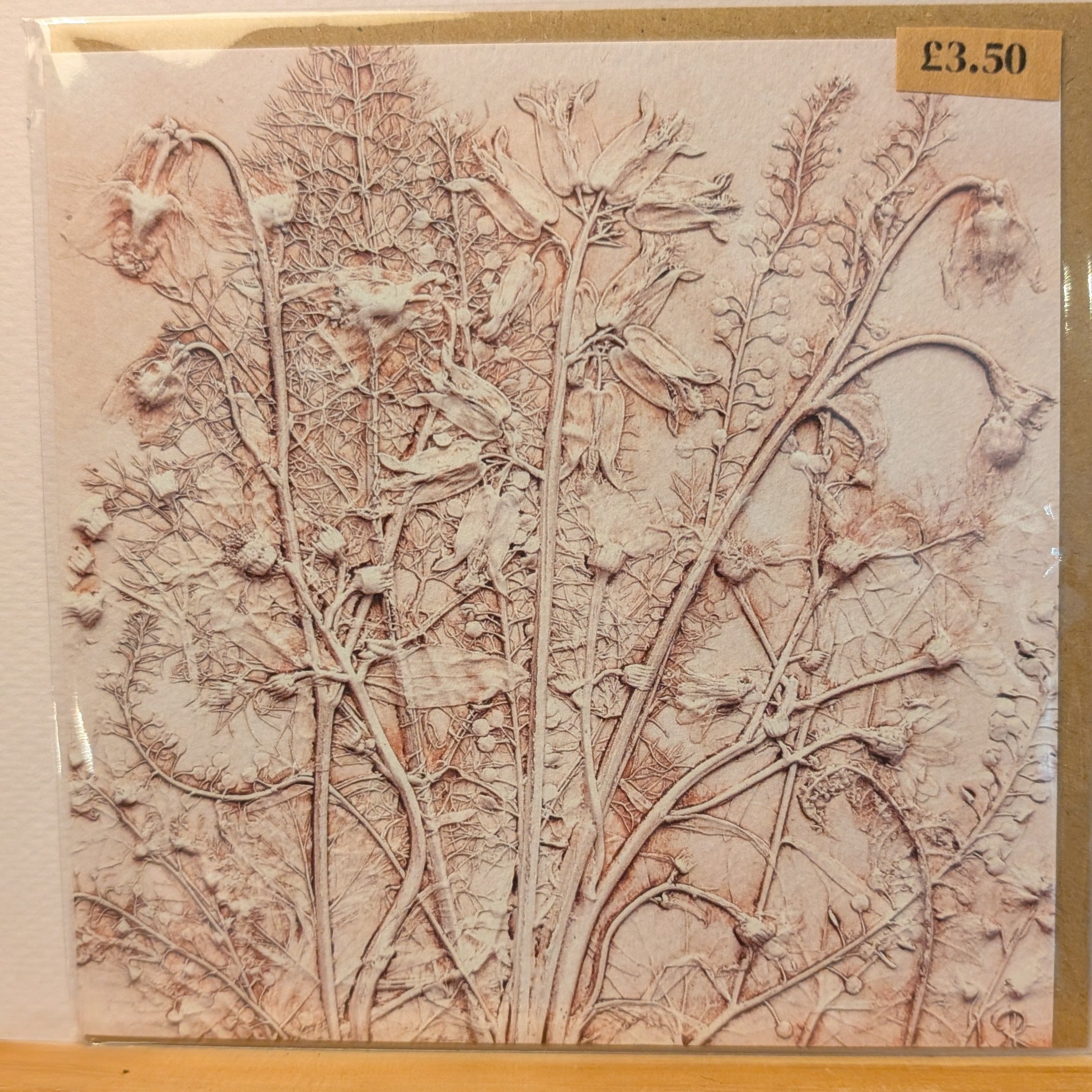 Lisa Richards Botanical Flower Cast Greeting Card 
