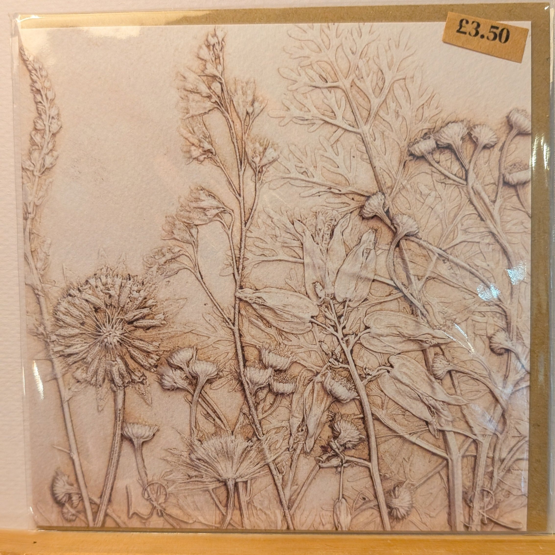 Lisa Richards Botanical Flower Cast Greeting Card 