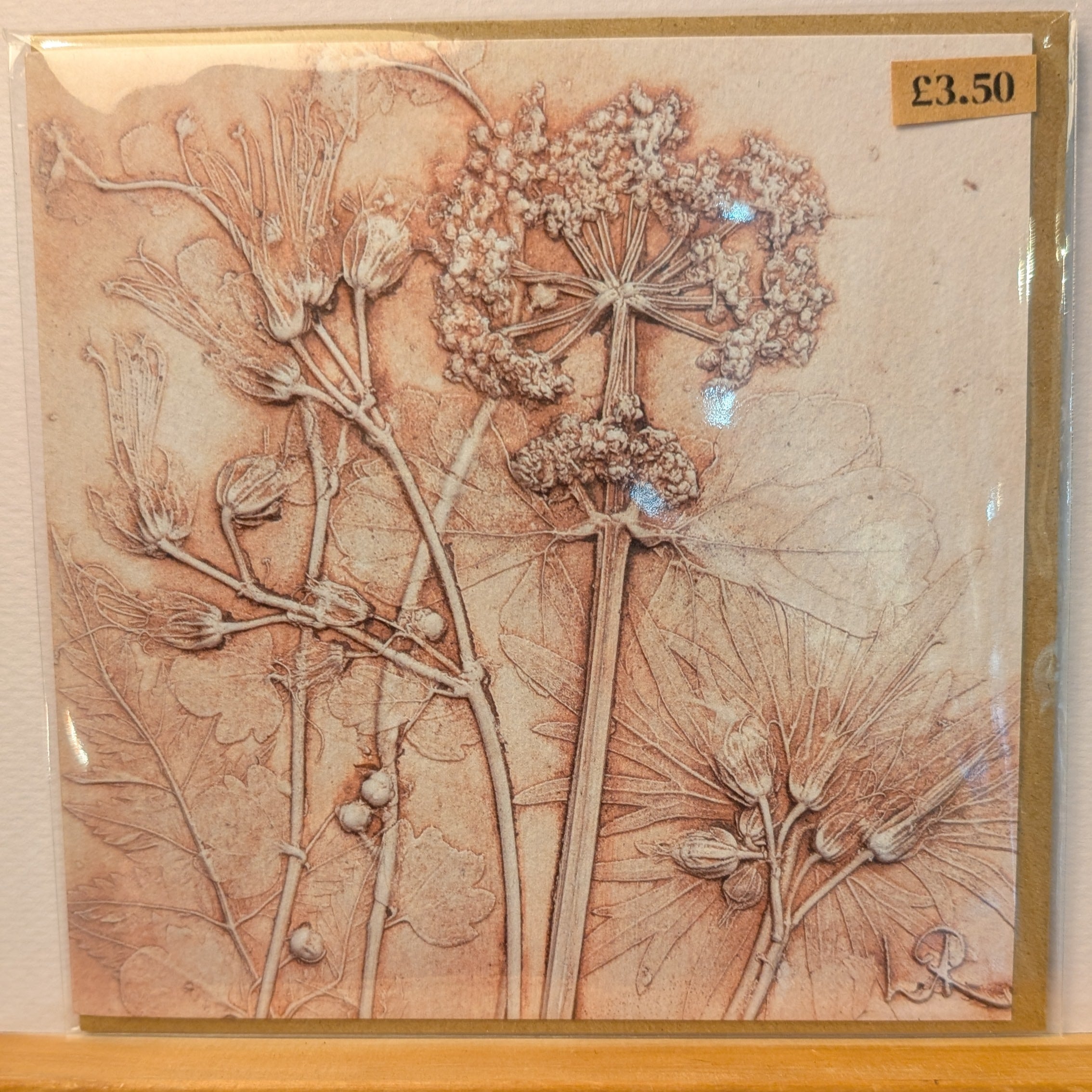 Lisa Richards Botanical Flower Cast Greeting Card 