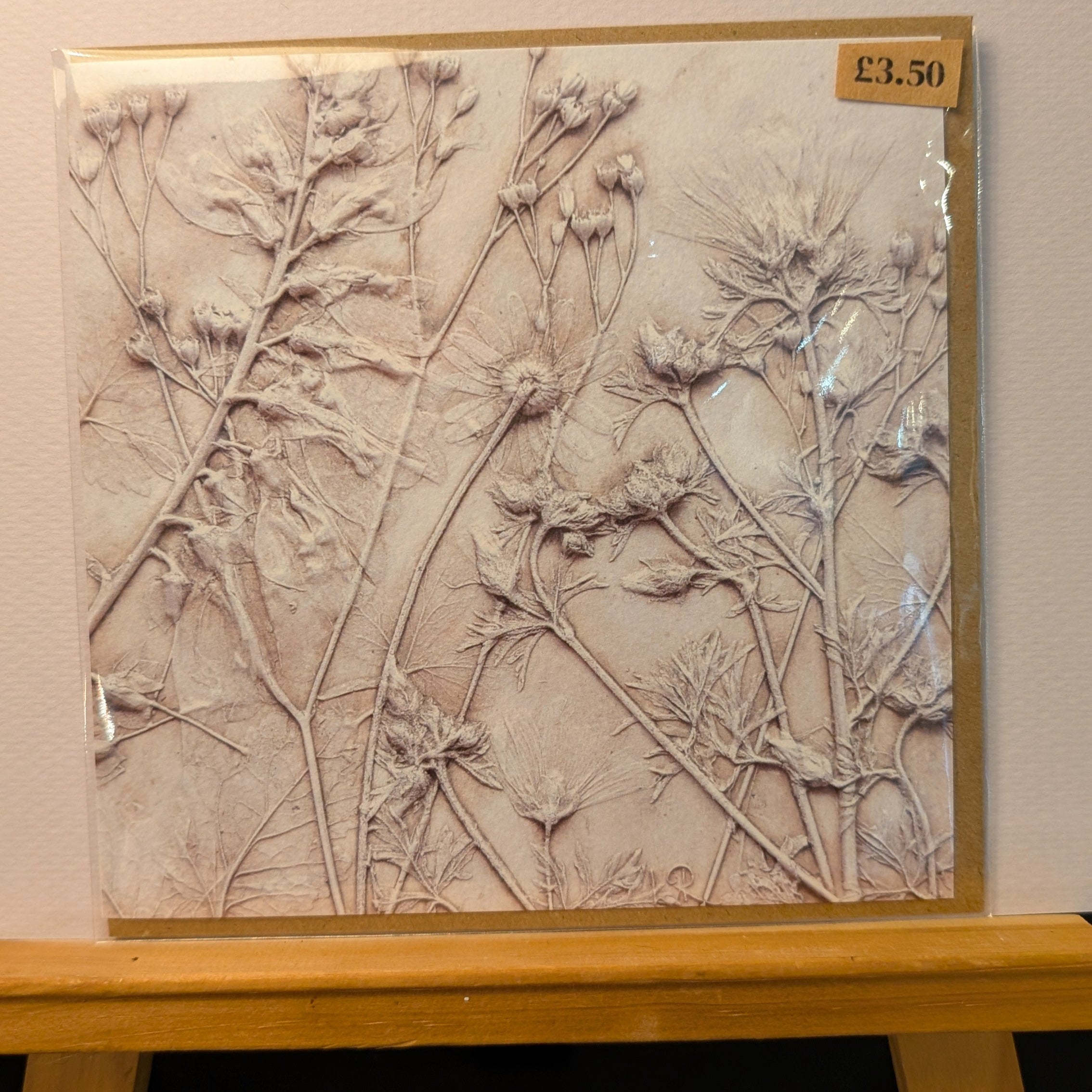 Lisa Richards Botanical Flower Cast Greeting Card 