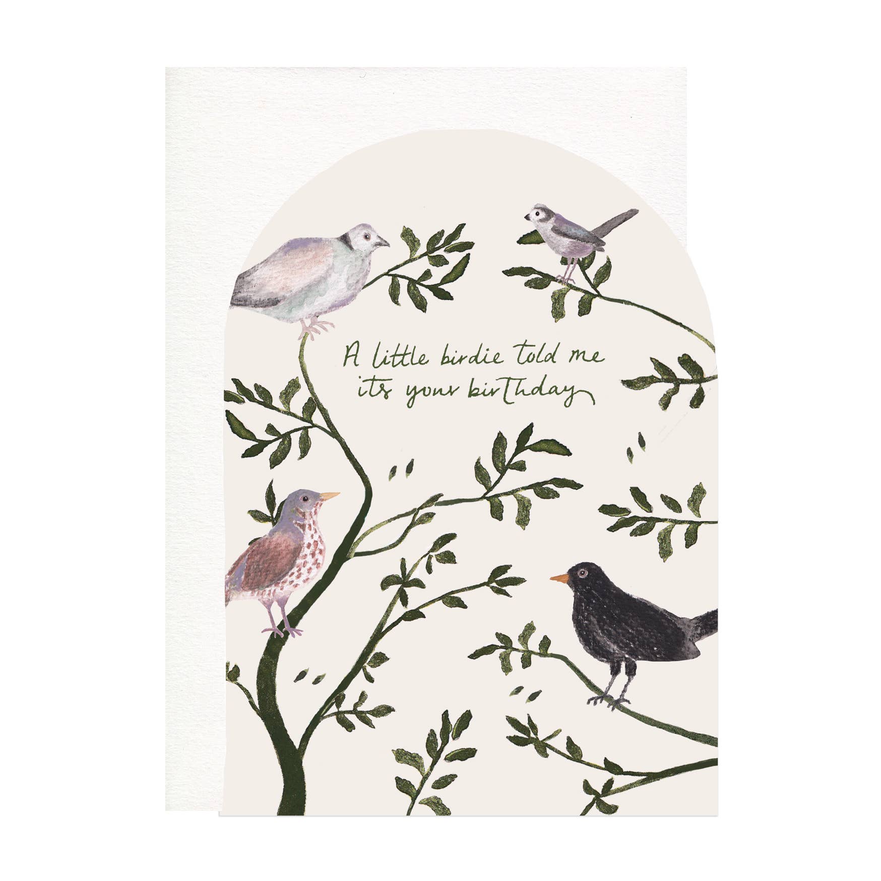 Little Birdy Birthday Greeting Card