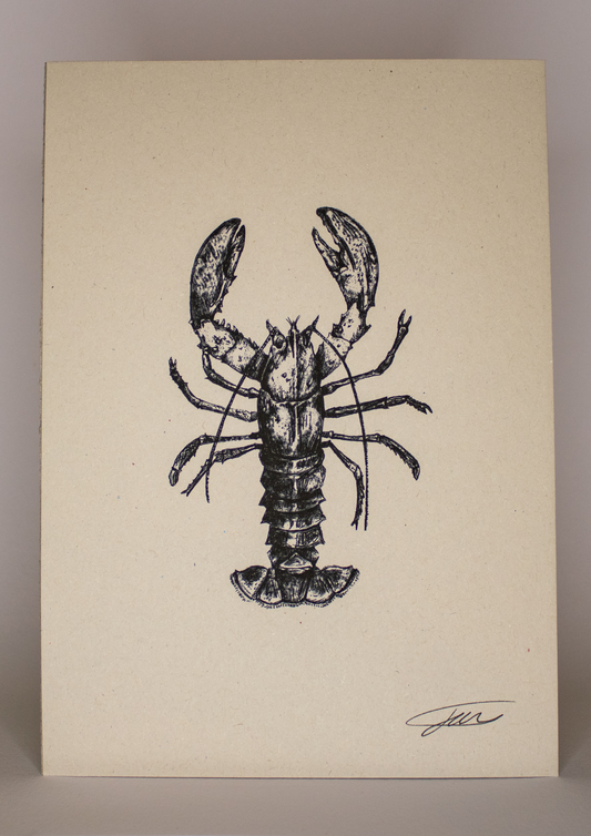 Lobster Wildlife Art Print