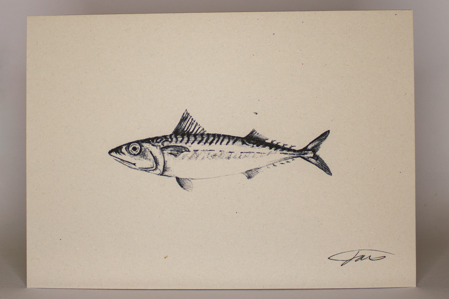 Mackerel Art Print