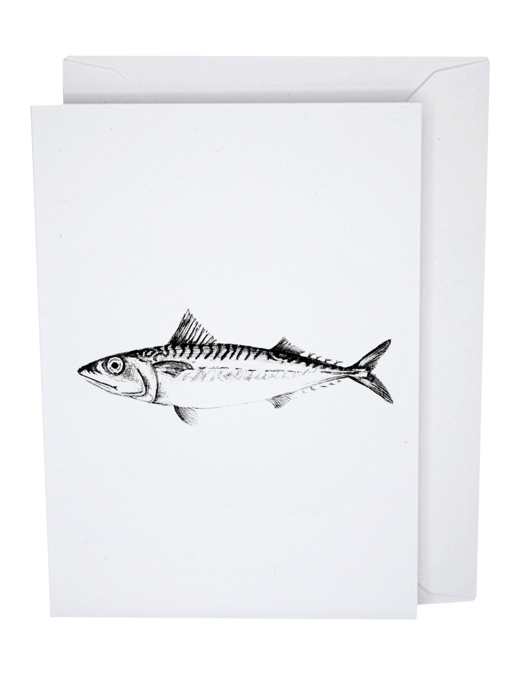 Mackerel Fish Recycled Paper Blank Greeting Card