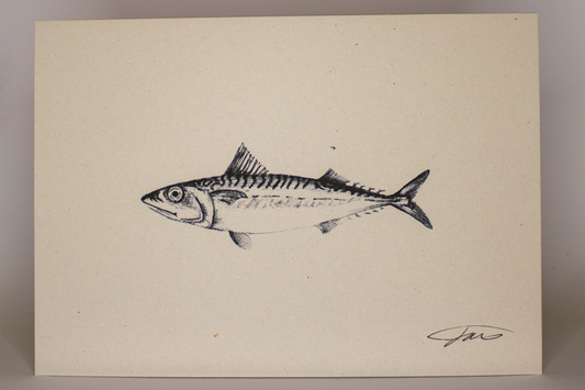 Mackerel Fish Wildlife Art Print
