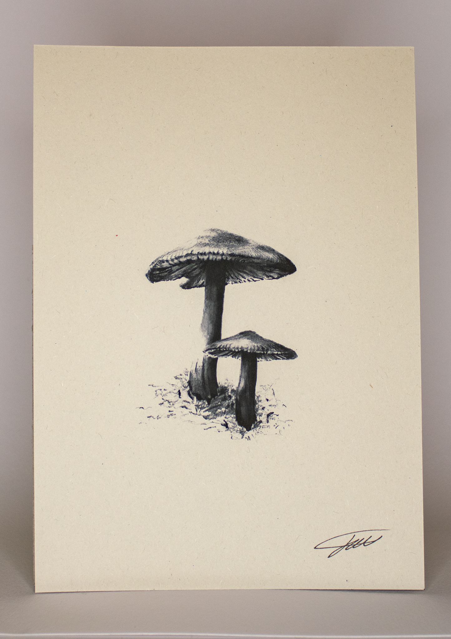 Mushroom Art Print