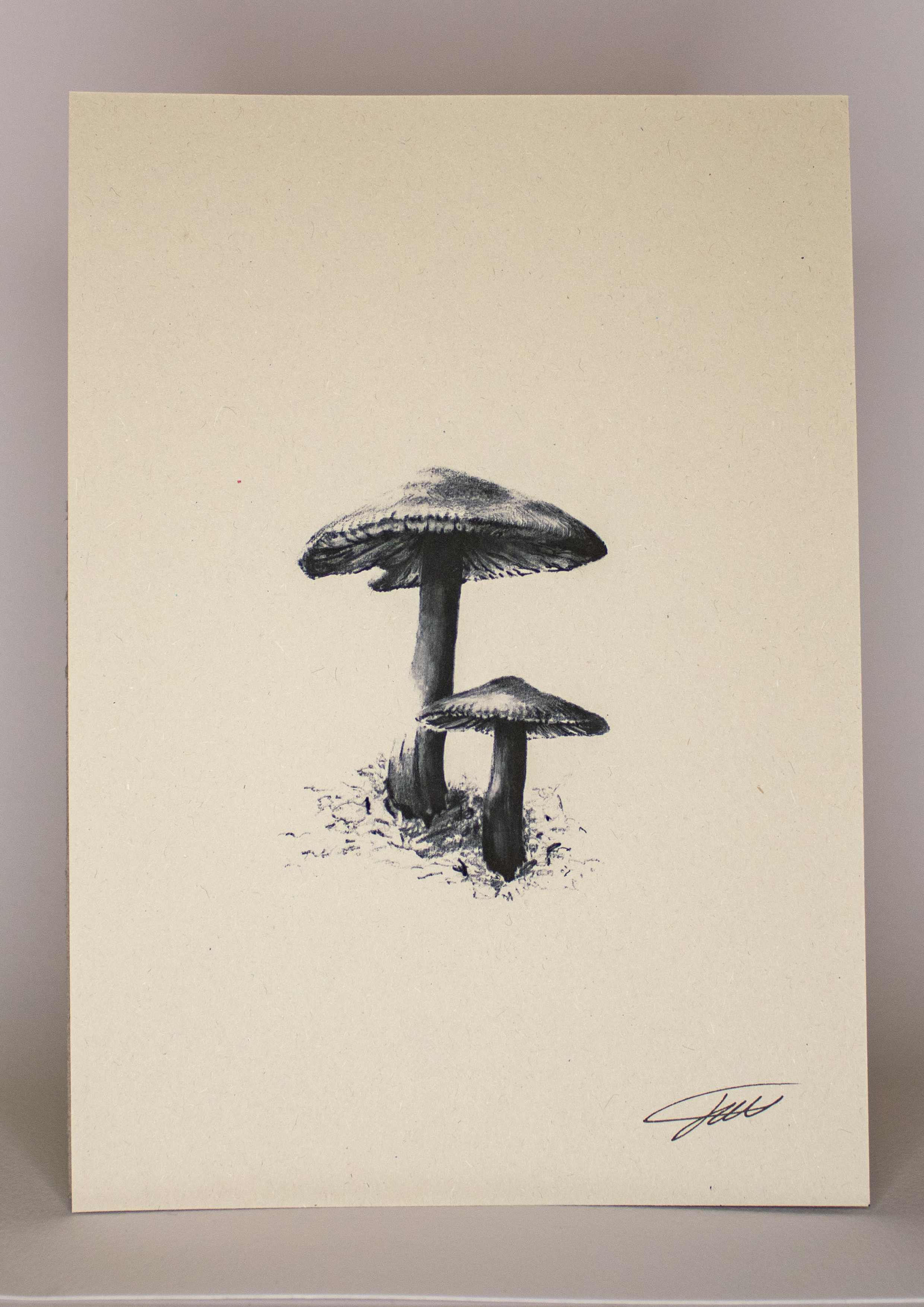 Mushroom Wildlife Art Print