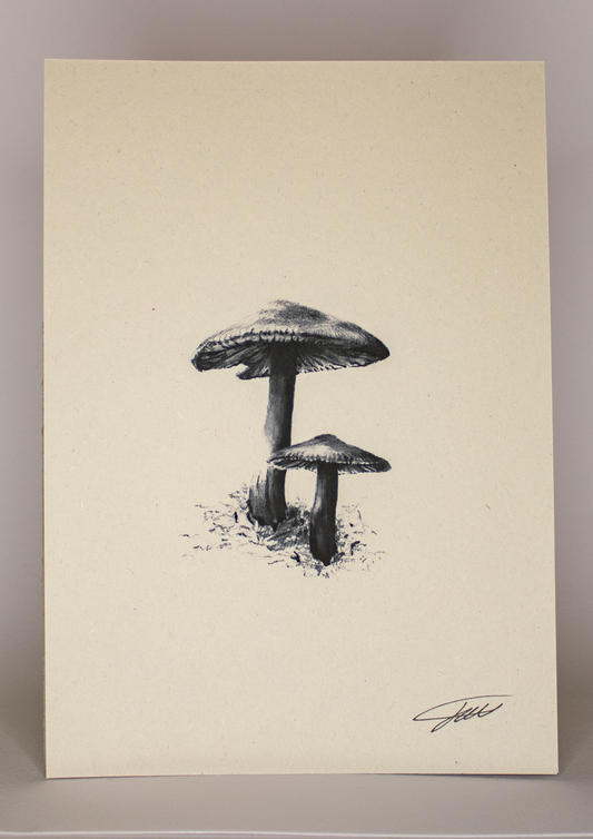 Mushroom Wildlife Art Print