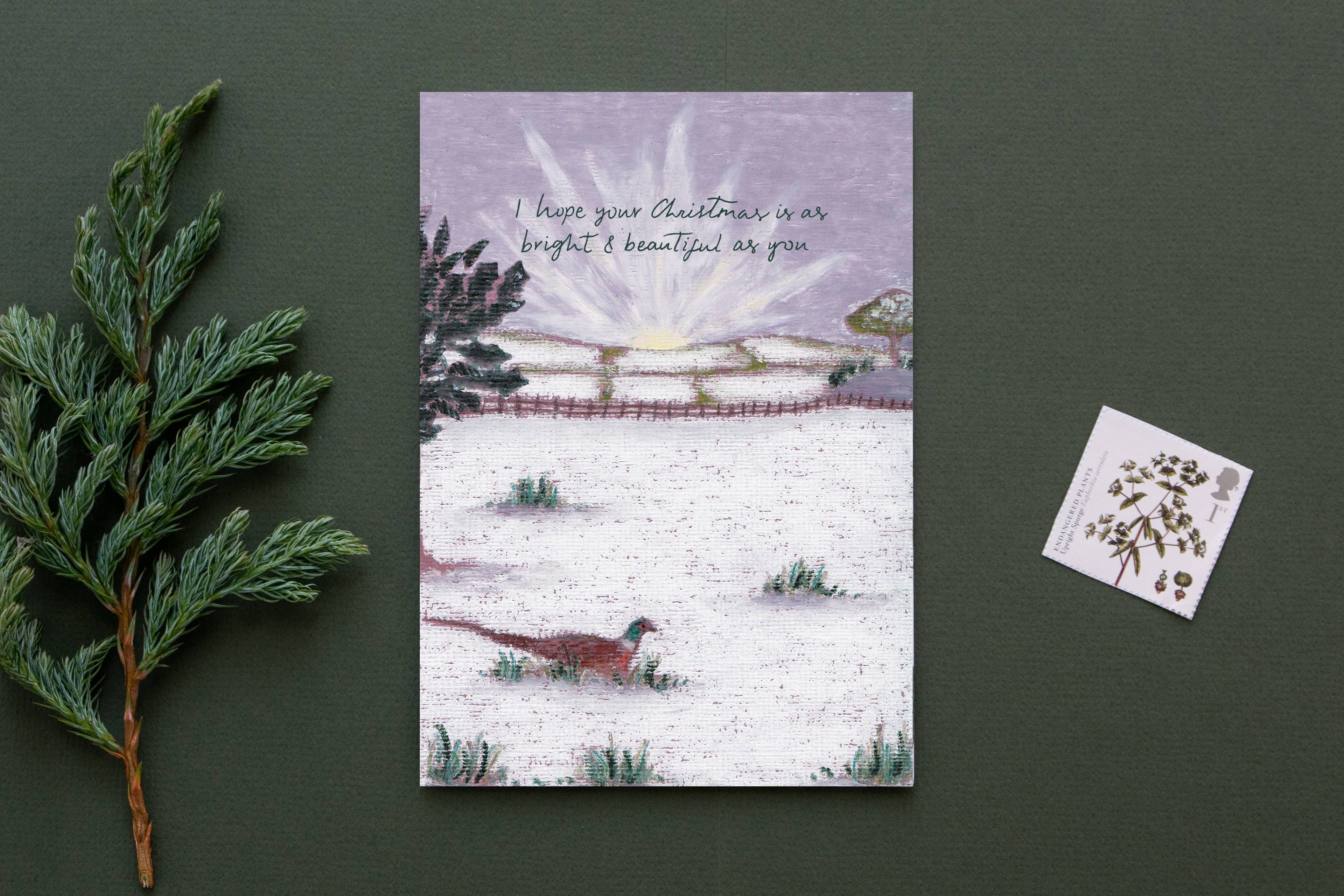 Pheasant In Field Christmas Greeting Card