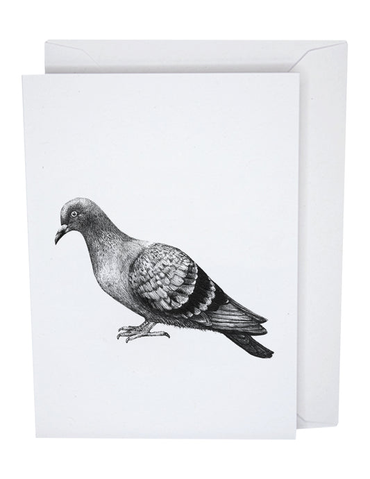 Pigeon Greeting Card