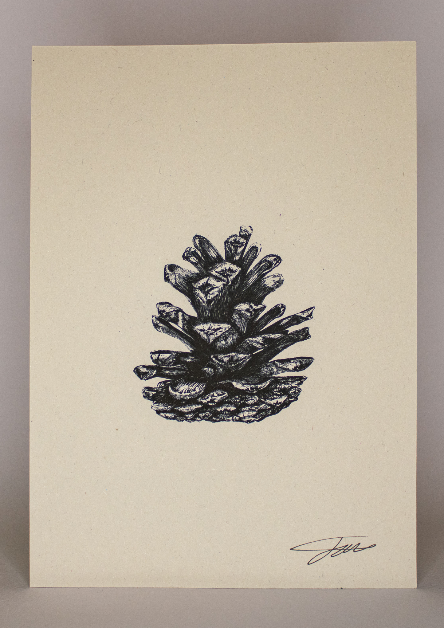 Pine Cone Art Print