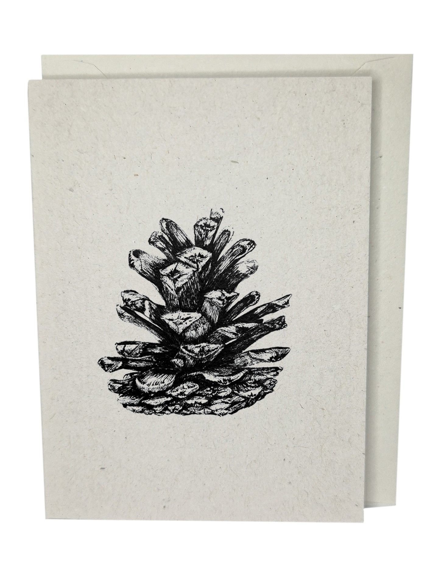 Pine Cone Recycled Paper Brown Blank Greeting Card