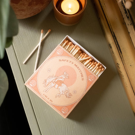 Pink Matches In Cowgirl Rodeo Matchbox