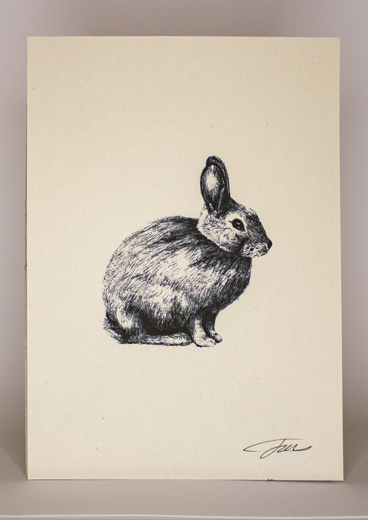 Rabbit Art Print