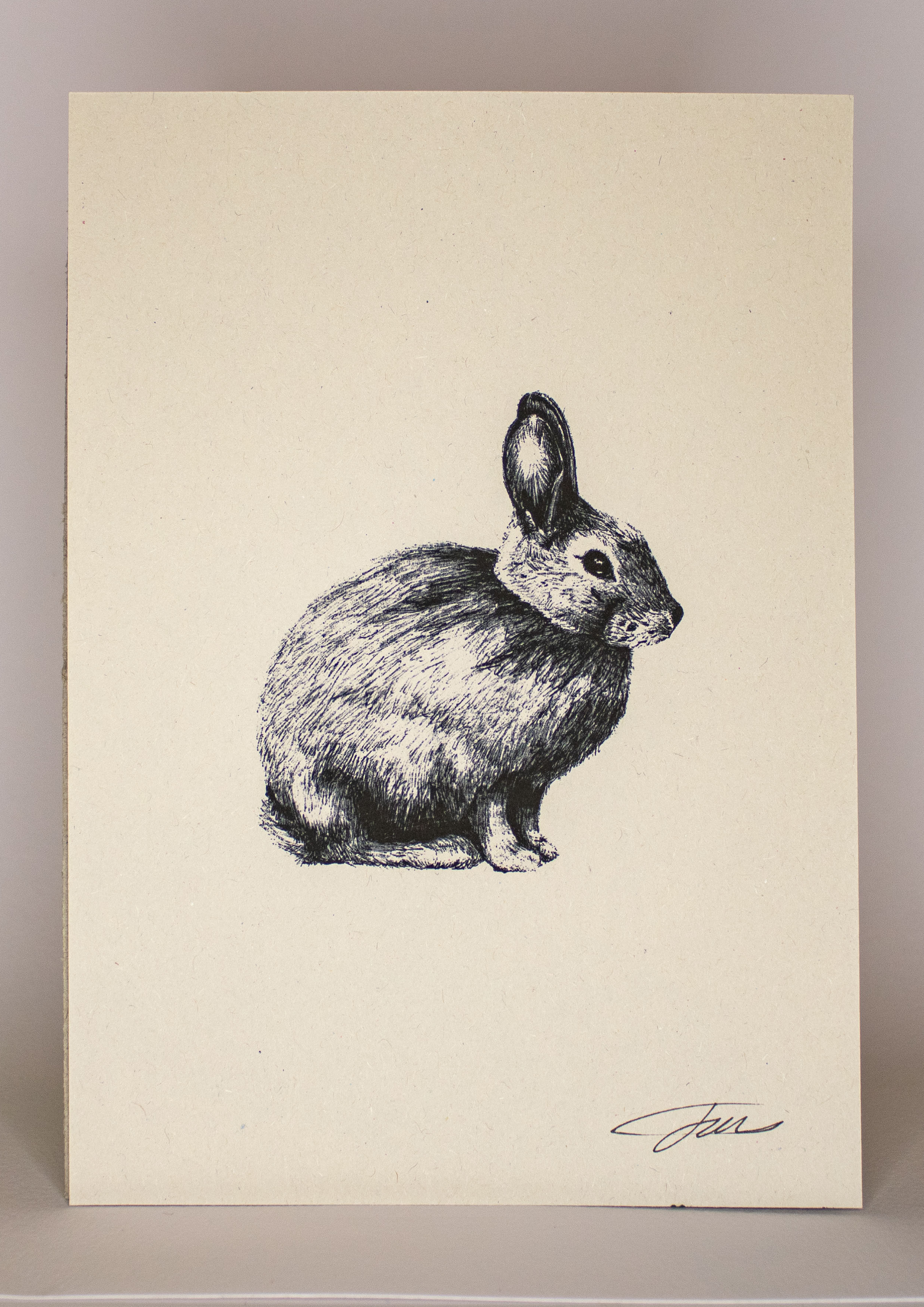 Rabbit Bunny Wildlife Art Print